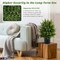 Costway 22'' Artificial Cedar Topiary Ball Tree 2-Pack Faux Shrub Bush Trees for Decor